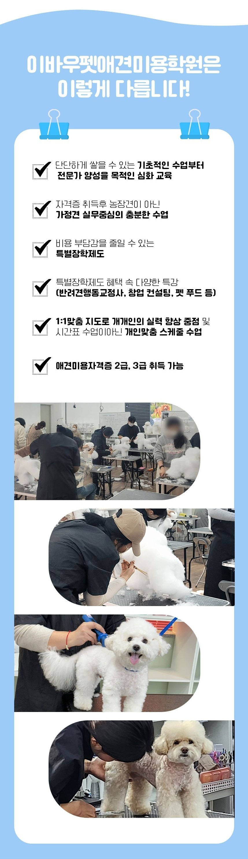 의정부-애견미용-취업