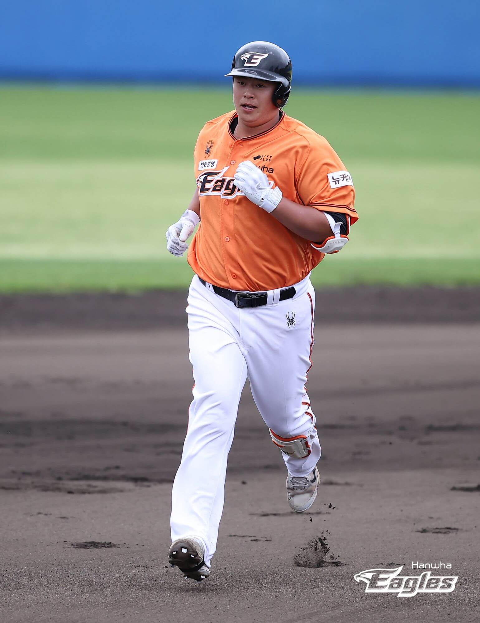 2024 한화 이글스 티켓 할인 예매&amp;#44; 무료 주차&amp;#44; 좌석 종류 및 특징&amp;#44; 경기일정 및 결과