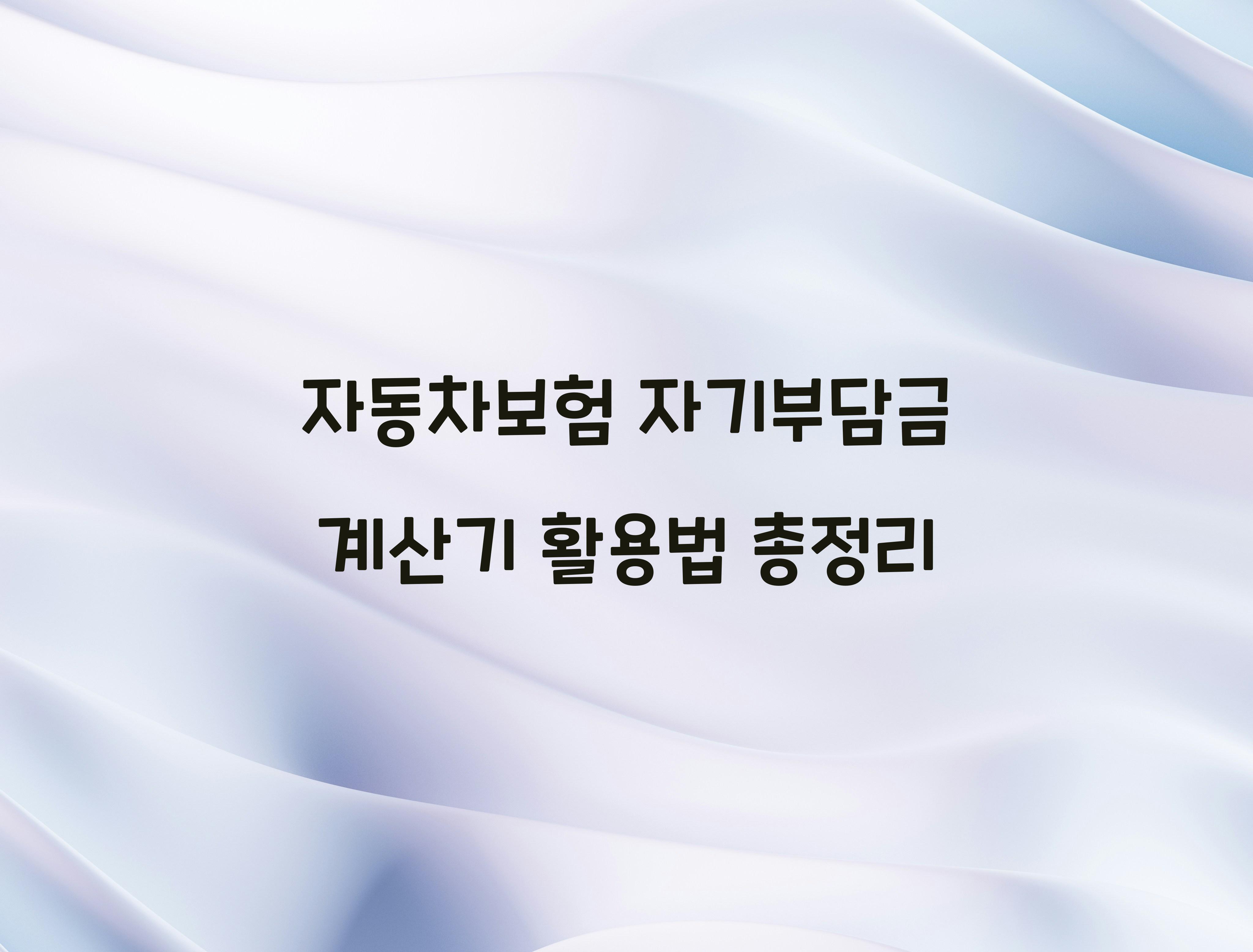 자동차보험 자기부담금 계산기