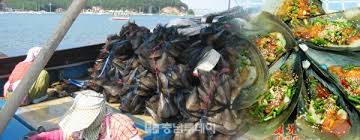 2024 오천항 키조개 축제 기본일정과 특징 소개