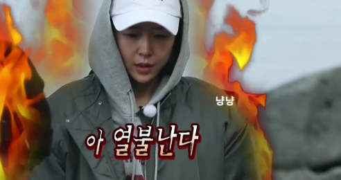 코요태 신지
