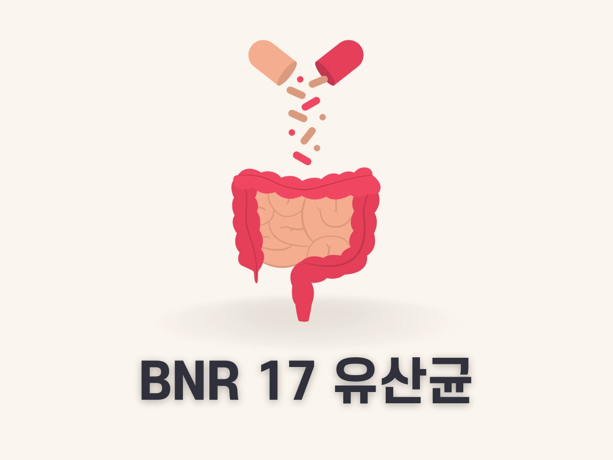 bnr 17 유산균