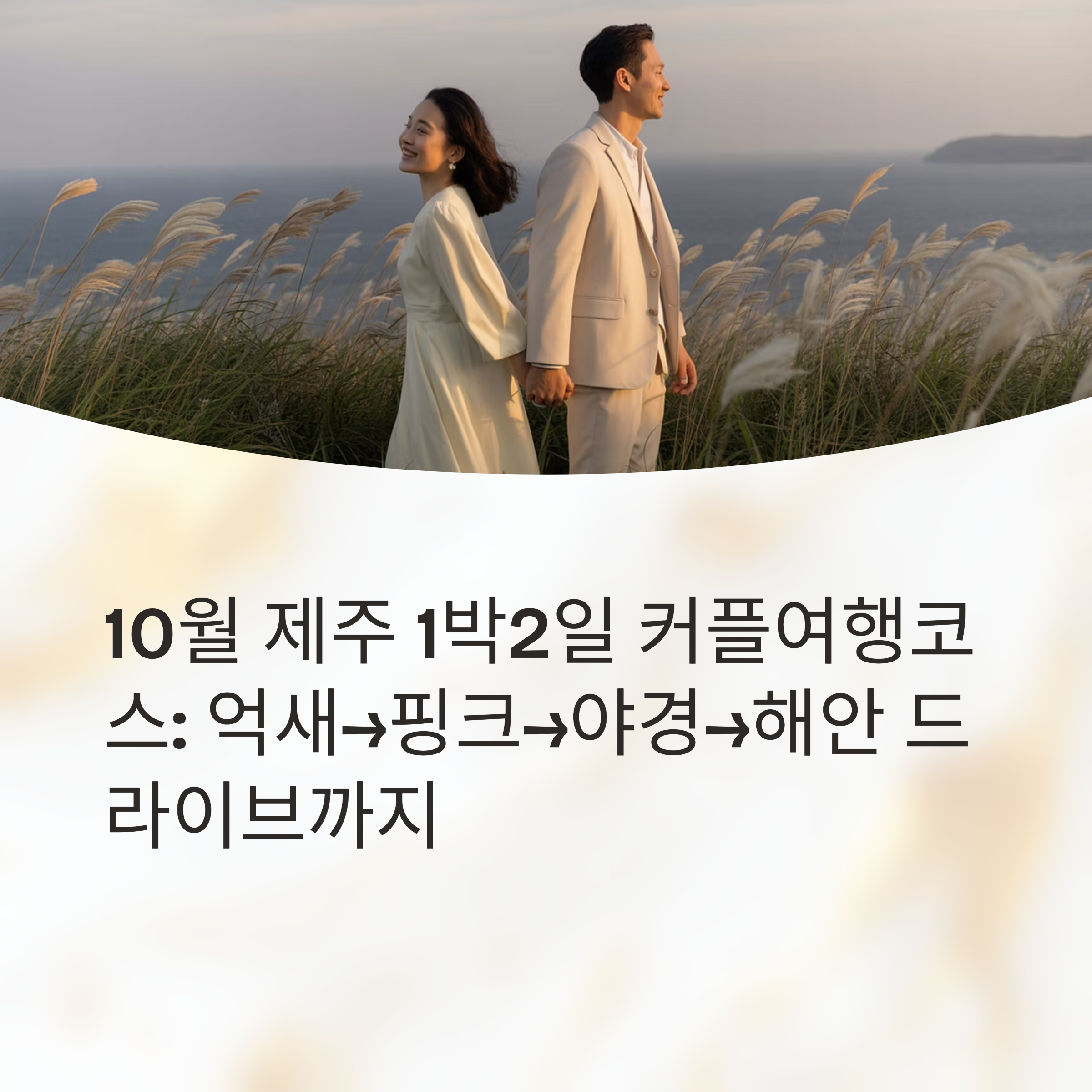 10월 제주 1박2일 커플여행코스: 억새→핑크→야경→해안 드라이브까지