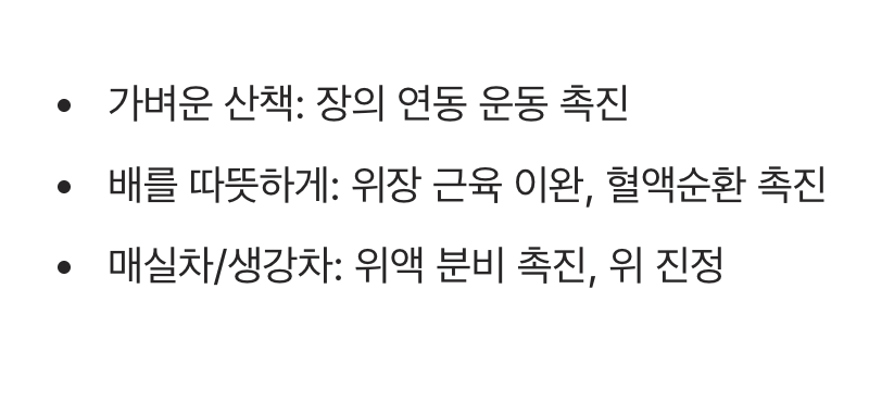 진짜 소화제, 우리 몸을 위한 천연 응급처치