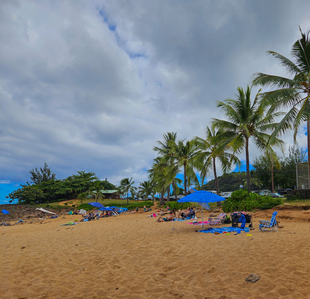 하와이 샥스코브 스노쿨링