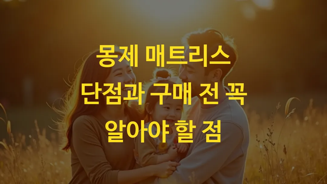몽제 매트리스 단점과 구매 전 꼭 알아야 할 점