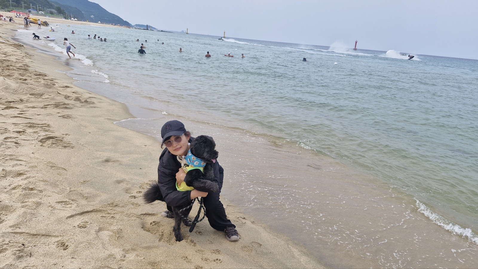 강아지가 가장 사랑하는 사람에게만 보이는 행동 11가지 (실제 후기형)