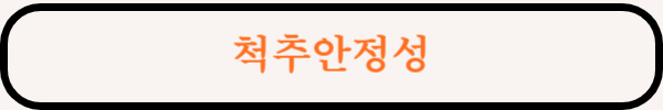 척추 안정성과 통증