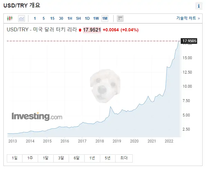 터키 리라 환율