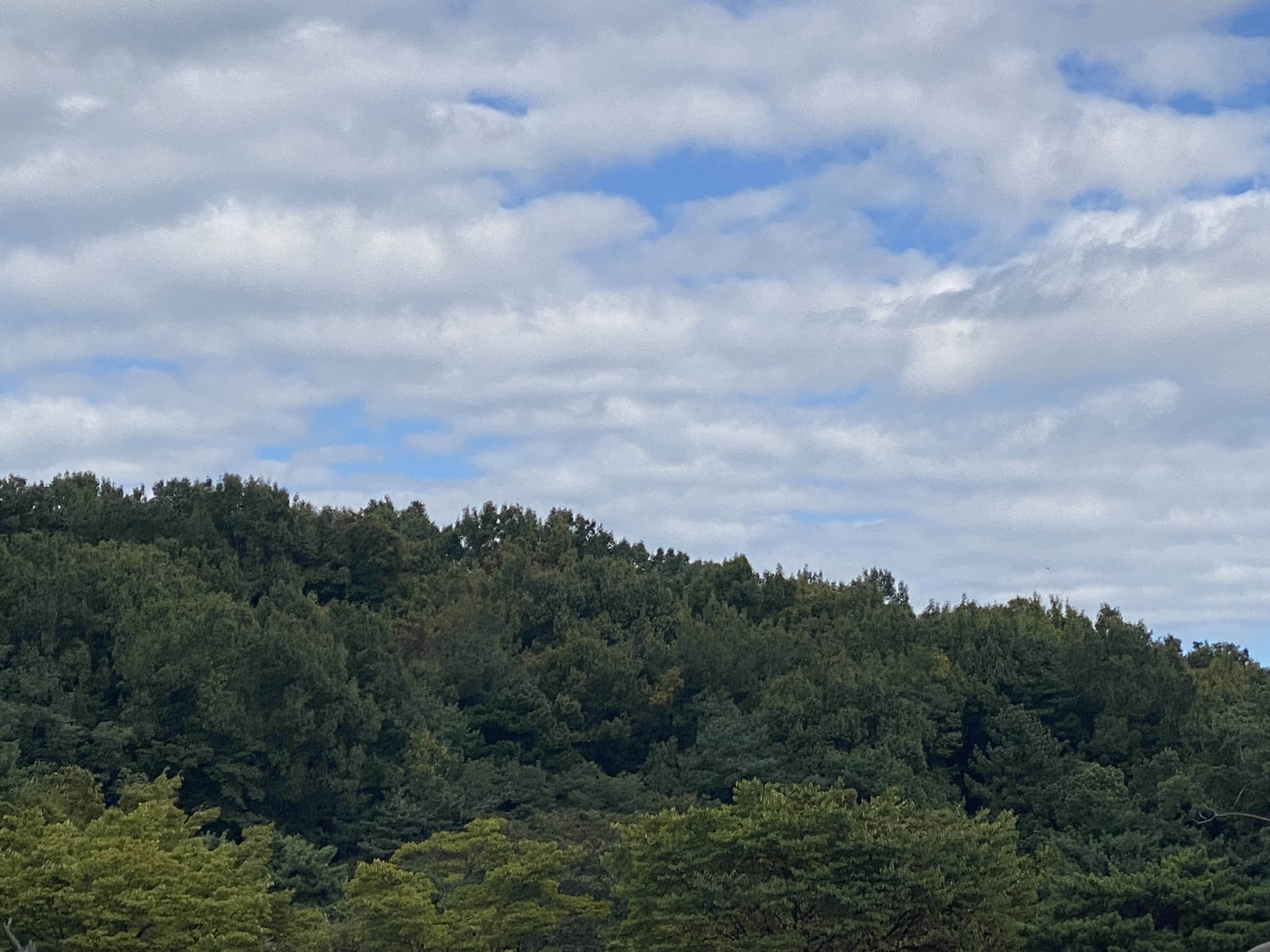 Alt 속성 문제 해결 설명 이미지