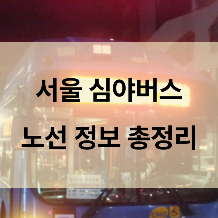서울심야버스