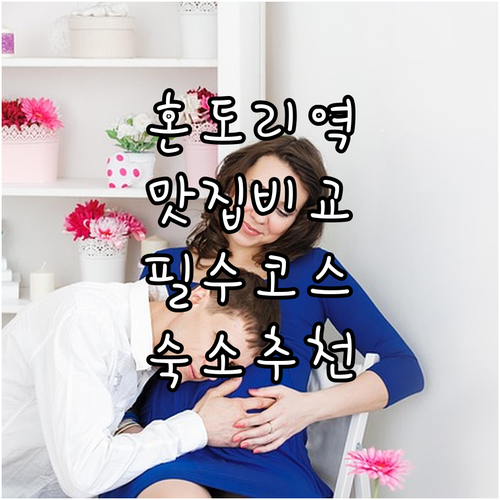 히로시마 혼도리역 이자카야 거리 맛집..