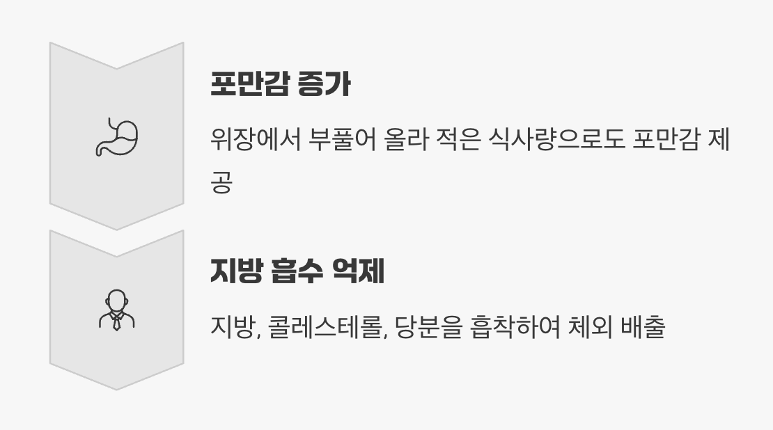 다이어터의 든든한 아군, '포만감'과 '지방 흡수 억제'