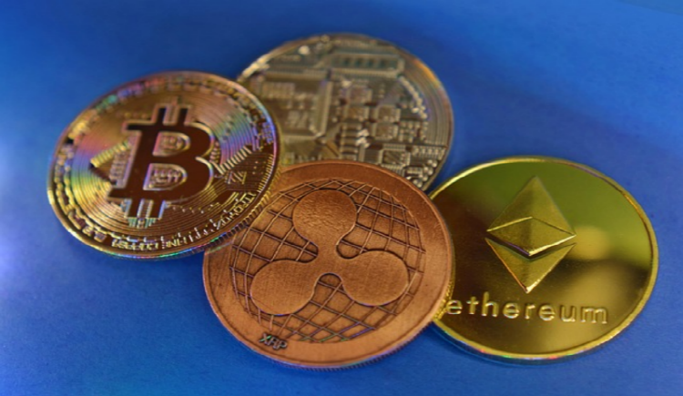 엔비디아 주가 전망