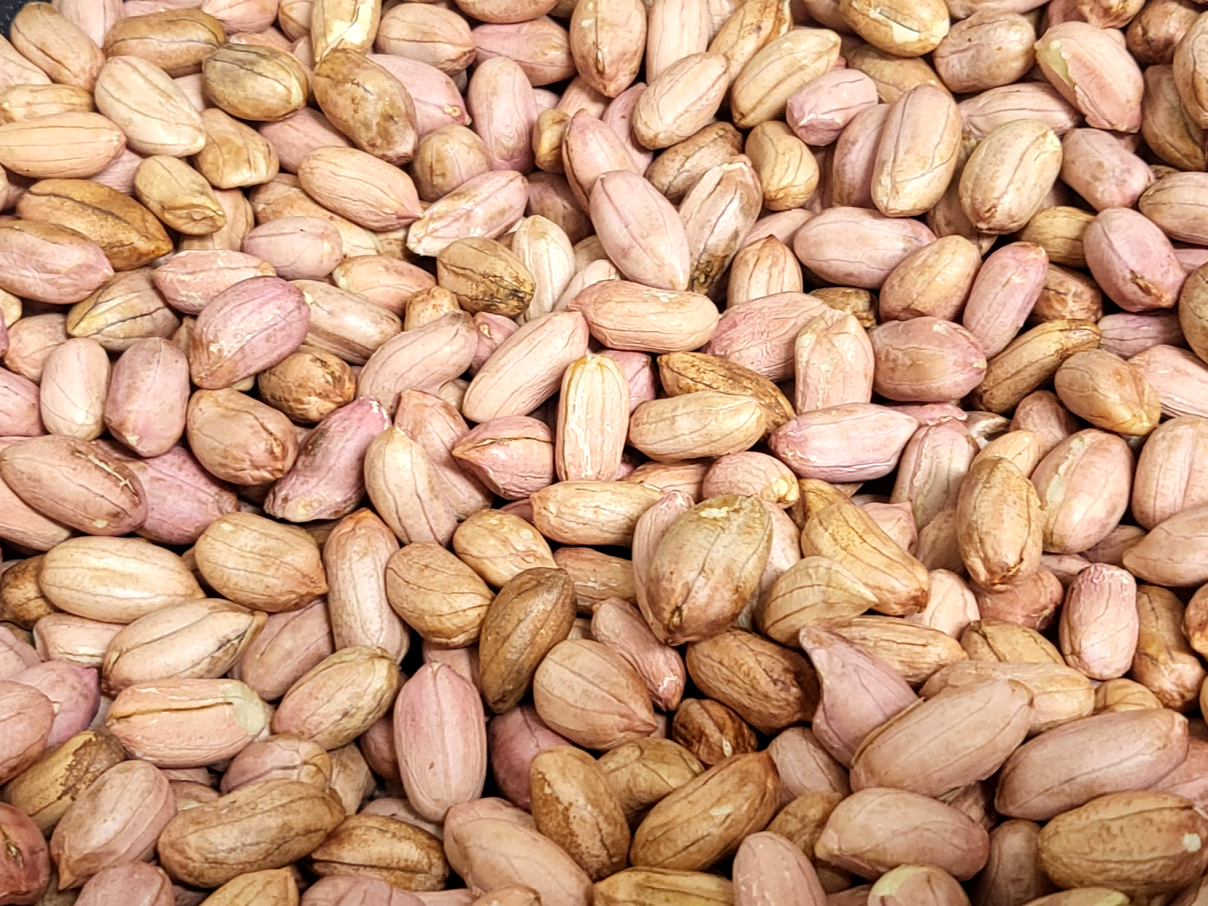 땅콩 땅콩의 효능