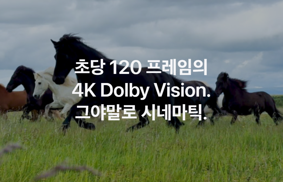 아이폰 16 프로 카메라 성능