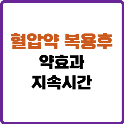 혈압약 복용후 약효과 지속시간