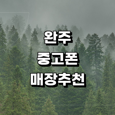 완주군 중고폰