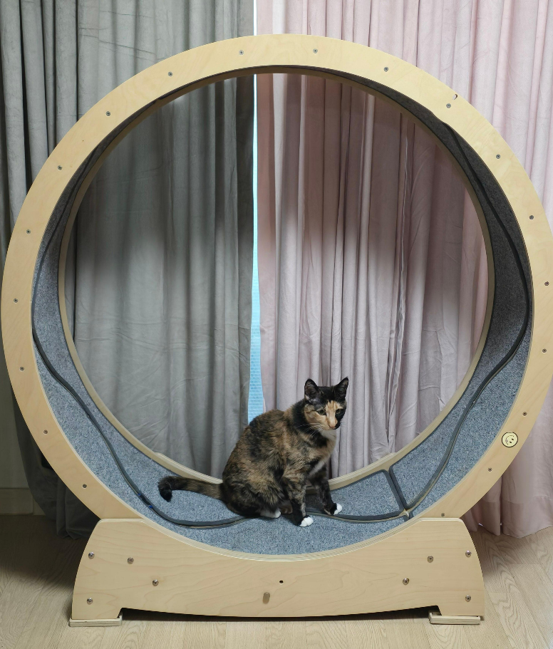 집사의 반격 스타캣휠 사용후기3