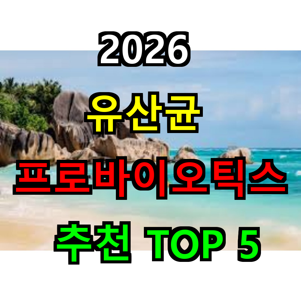2026 유산균 프로바이오틱스 추천 TOP 5