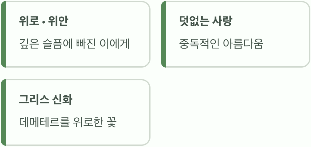 가장 강렬한 위로&amp;#44; 붉은색 양귀비