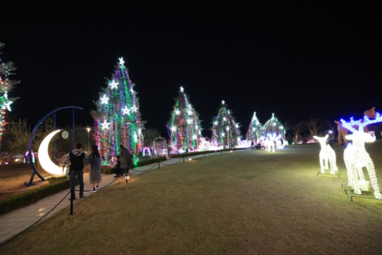 퍼스트가든 별빛축제
