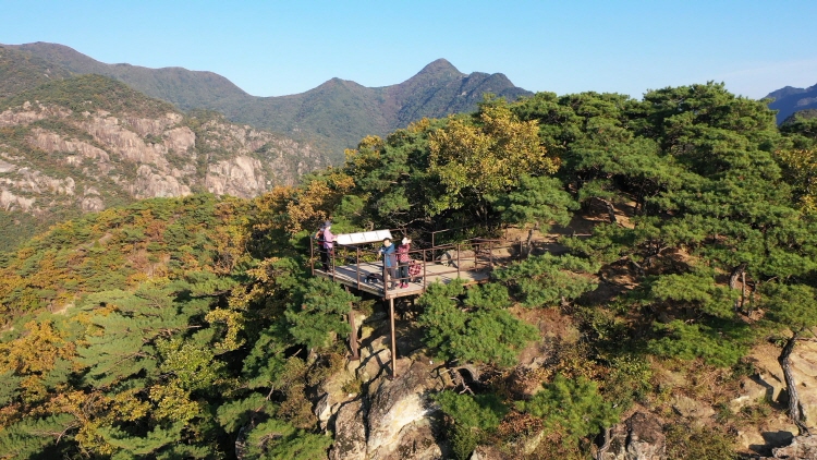 옥순봉 출렁다리