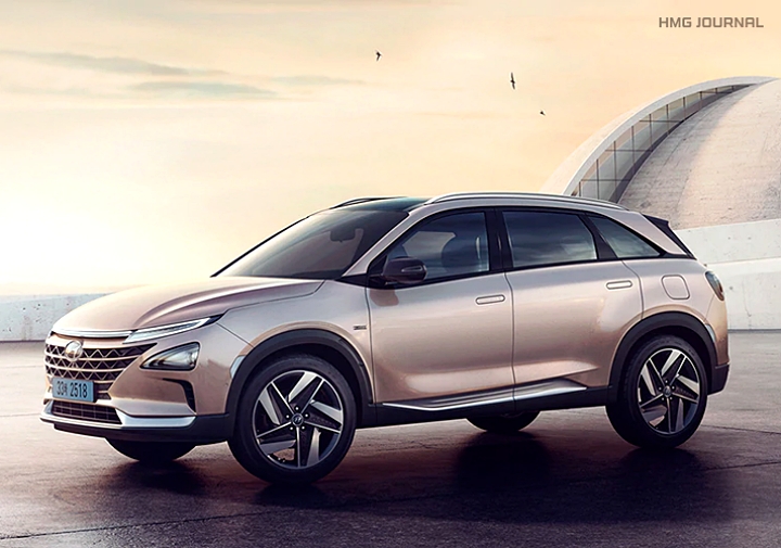 현대자동차 블루핸즈