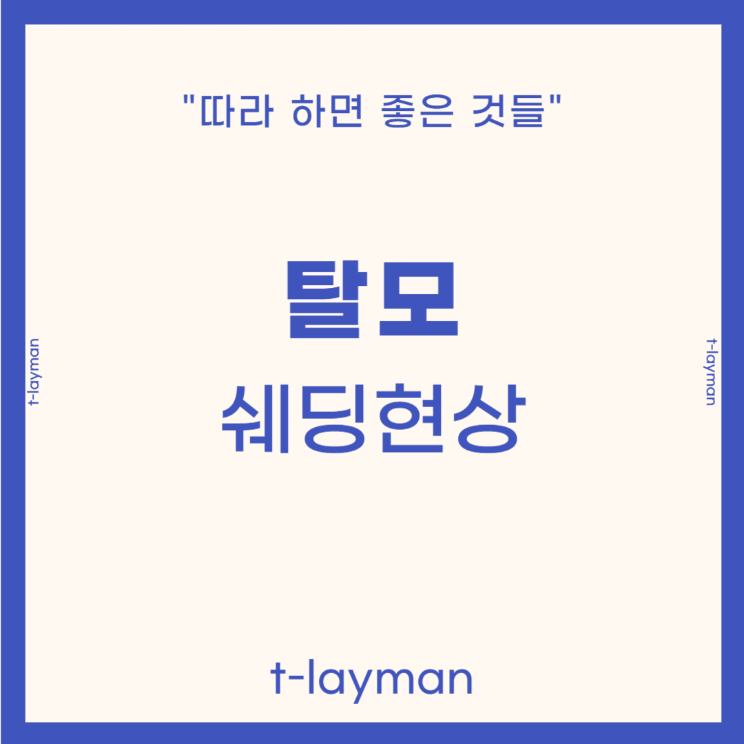 쉐딩현상