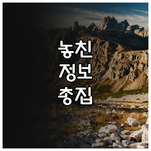 지금 신청 2025 송파여성문화회관 ..