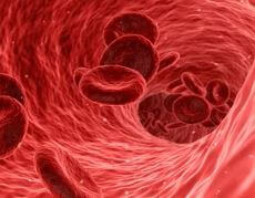 국가 암검진 지정병원