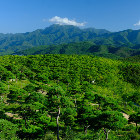 대구 군위 사유원 관람 예약