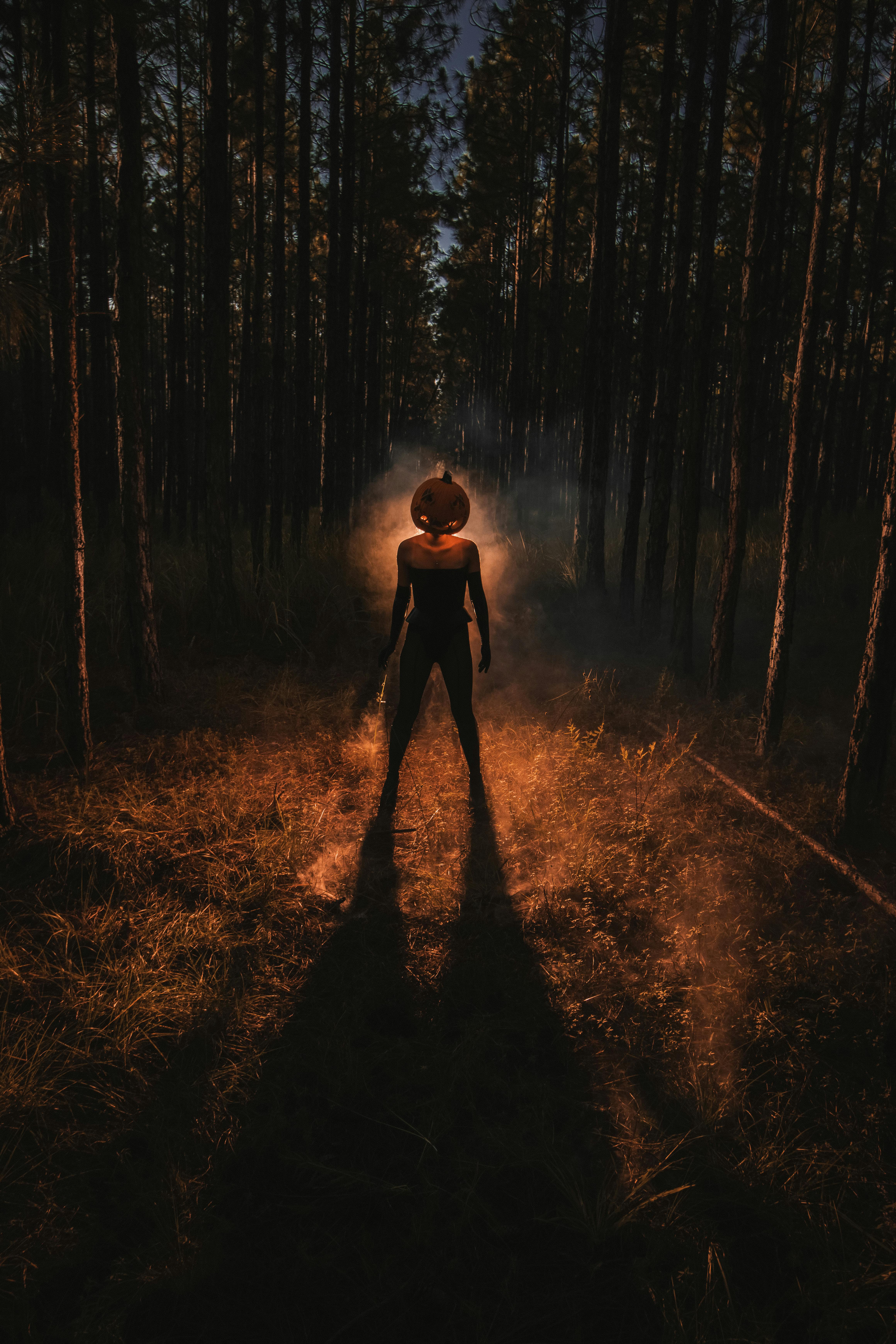 최신 한국 영화 장르 트렌드 (드라마, 스릴러, 액션)