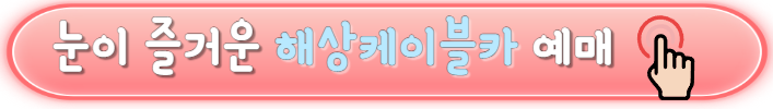 당일치기 여수여행 추천(오동도, 고소천사벽화마을, 향일암, 돌산공원, 여수 해상케이블카)