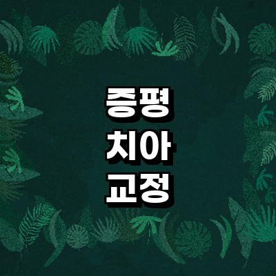 증평군 교정 치과