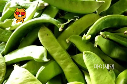 비염 효과