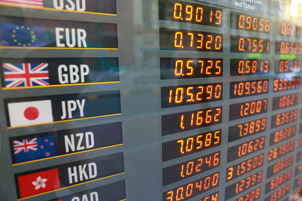 환율 관련 이미지