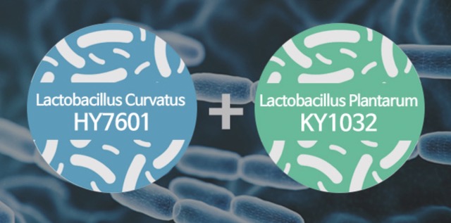 메타바이옴v2-유산균-다이어트-효과