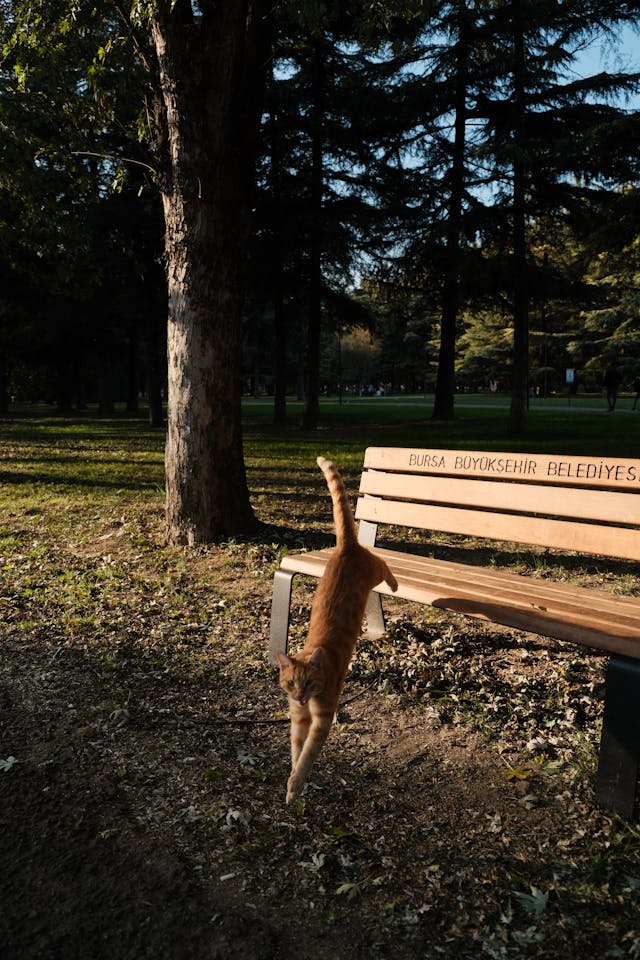 전국 날씨 예보