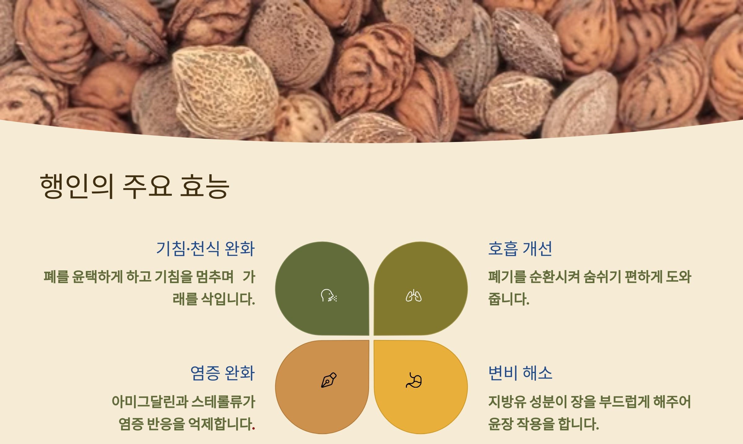 살구씨 효능, 행인의 효능