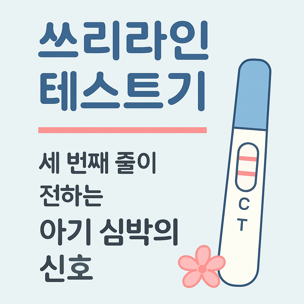 쓰리라인임신테스트기