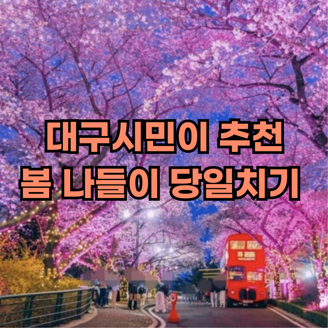 대구시민이 추천하는 봄 나들이 명소 당일치기