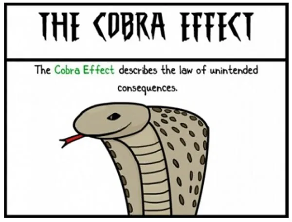 코브라이팩트-출처-이코노믹리뷰