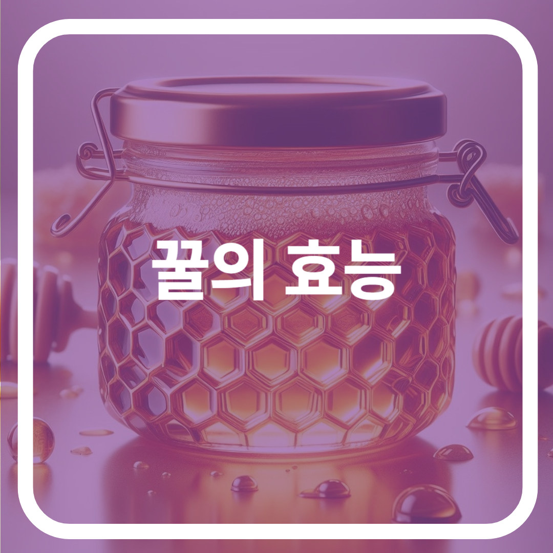 꿀의 효능