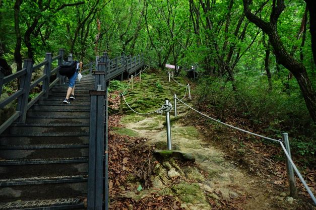 비 내리면서 어두운 숲속, 가파른 오르막 계단길, 반팔, 반바지 차림의 남성 1 올라가고 있음,