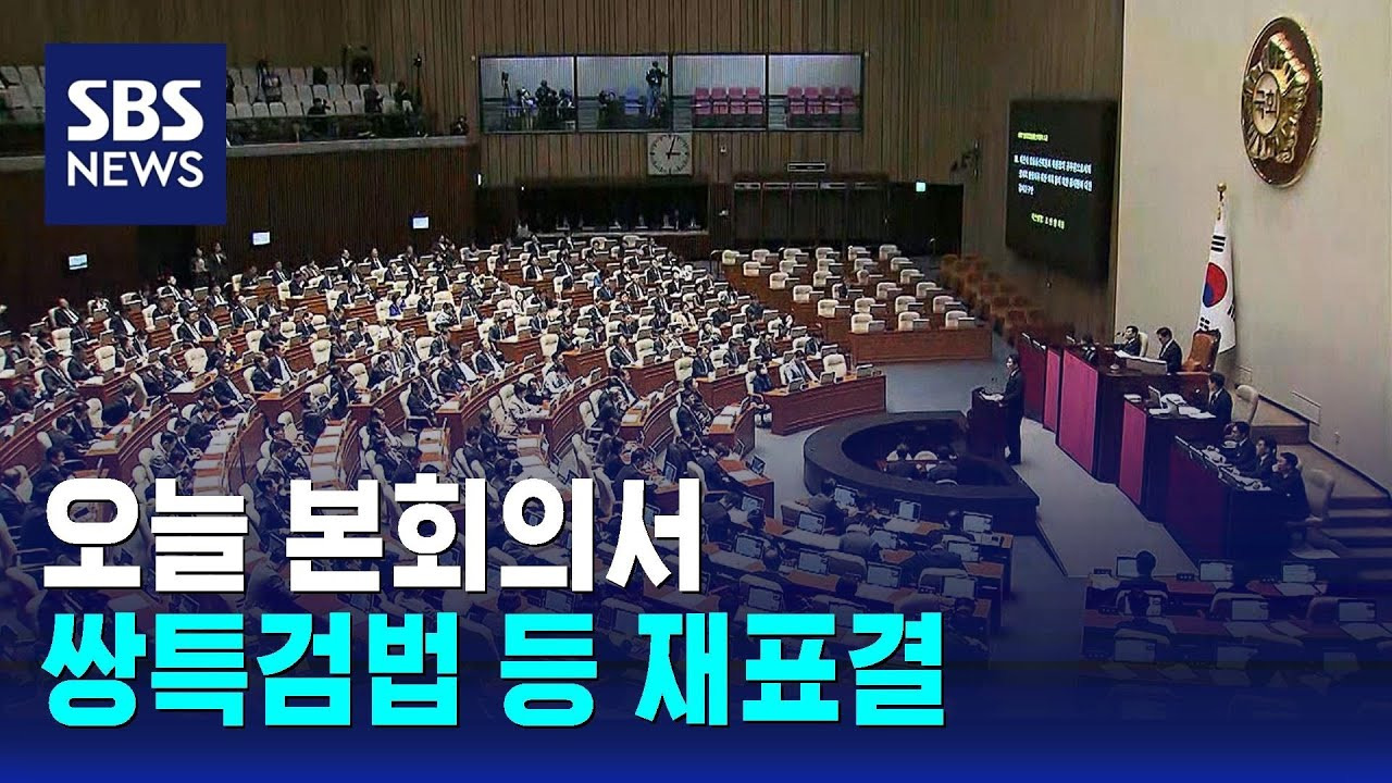 쌍특검법