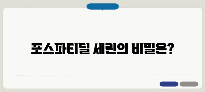 포스파티딜 세린 효능! 집중력 & 기억력 향상에 정말 효과적일까?