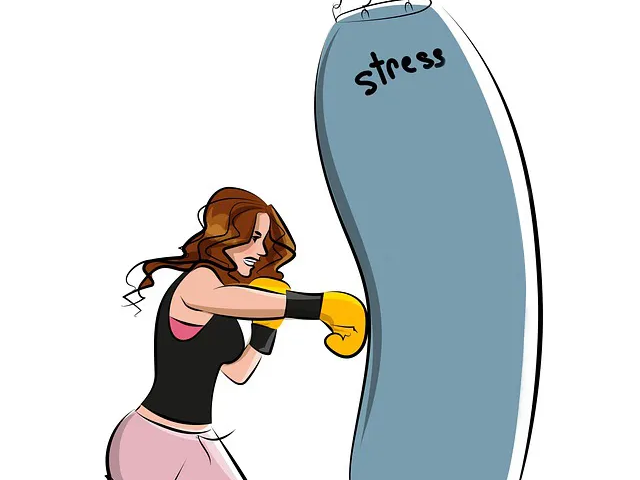 오미자 정신적 피로 감소에 도움