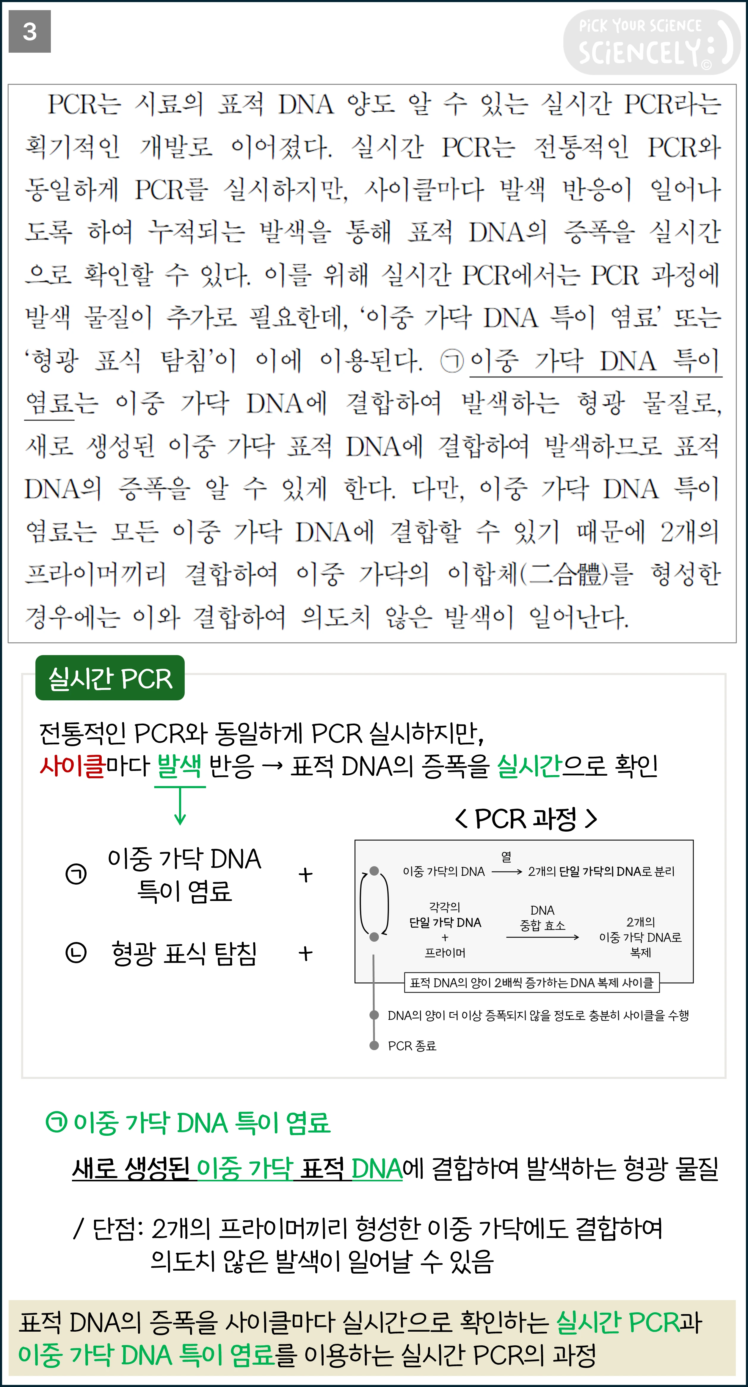 국어 독서 과학기술, 국어 비문학 과학기술, 22학년도 고3 6평 Q14-17, 중합 효소 연쇄 반응, PCR, 3문단