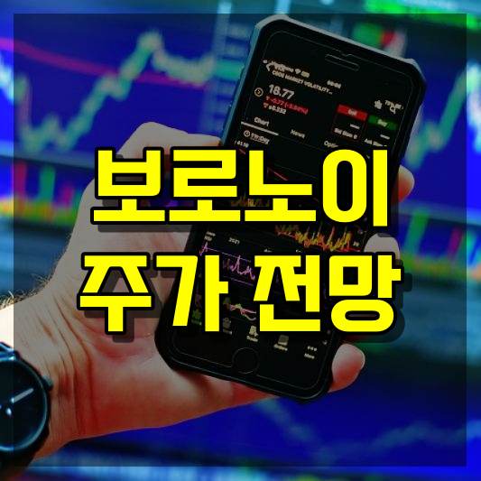 보로노이 주가 전망